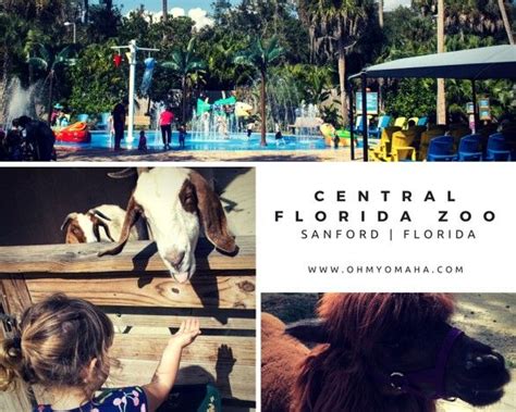 Exploring The Central Florida Zoo | Florida zoo, Florida adventures ...