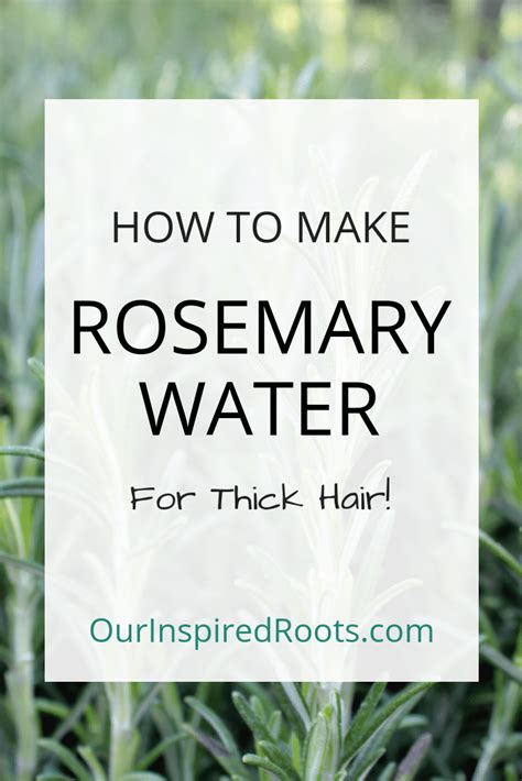 Hair Growth Tips, Natural Hair Growth, Rosemary For Hair Growth, Scalp ...