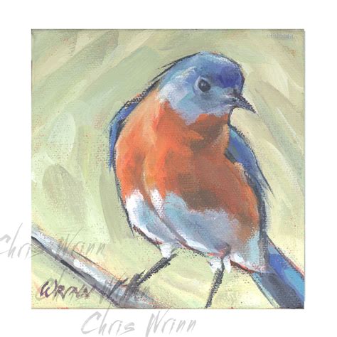 Eastern Bluebird Painting at PaintingValley.com | Explore collection of Eastern Bluebird Painting