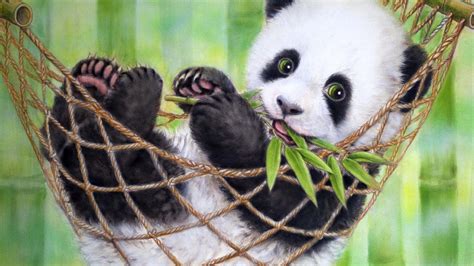 Baby Panda Hd Wallpapers Wallpaper Cave - Riset