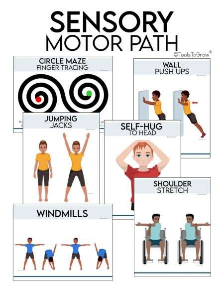 Sensory Motor Function