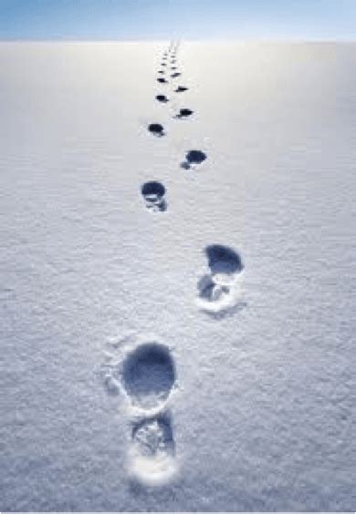 Footprints in the Snow | The Emotional Intelligence Training Company, Inc. The Emotional ...