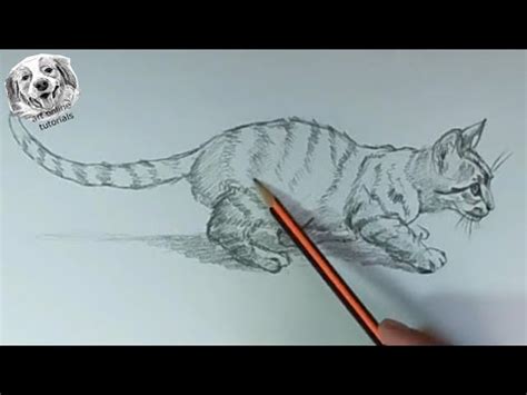 How To Draw A Realistic Animals