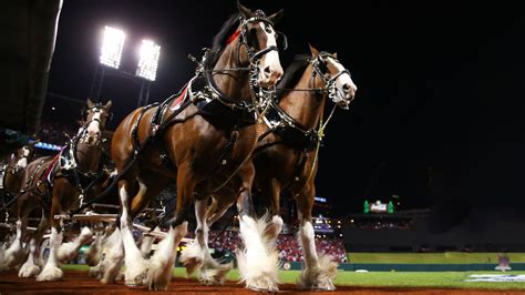 The Budweiser Clydesdales' 24 Best Super Bowl Commercials (2024) - Parade