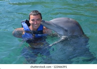 4,797 People swimming with dolphins Images, Stock Photos & Vectors ...