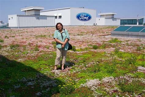 Ford Motor Company's River Rouge Truck Plant - Greenroofs.com