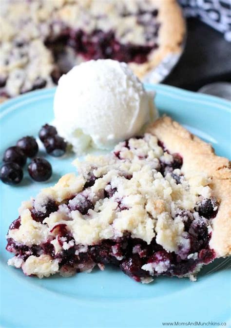 Saskatoon Berry Pie (Easy Recipe) - Moms & Munchkins