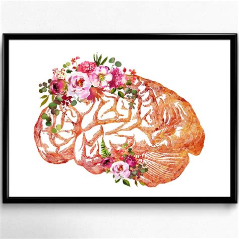 Human Brain Brain Anatomy Watercolor Print Medical Science | Etsy