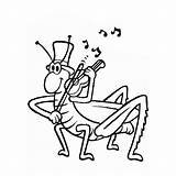Fourmi Cigale Cicada Coloriage Cicala Disegno Insetti Kolorowanki  sketch template