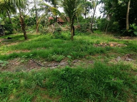 Land For Sale In Kuliyapitiya - Creating Real Value For Your Property