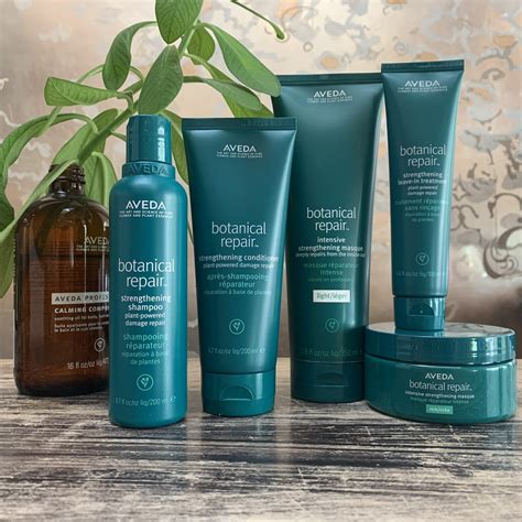 Aveda Botanical Repair: The Ultimate Transformer | The Establishment Salon | Los Angeles, CA