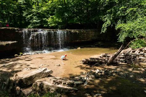 Hiking Nerstrand Big Woods State Park - MN Trips