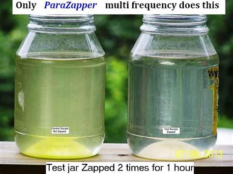 How to Zap ParaZapper(tm) Hulda Clark Zapper Instructions and zapping guide | Natural cures ...