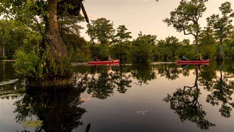 Perfect Picnic Spots in North Carolina State Parks & Natural Areas ...