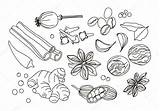 Spices Coloring Pages sketch template