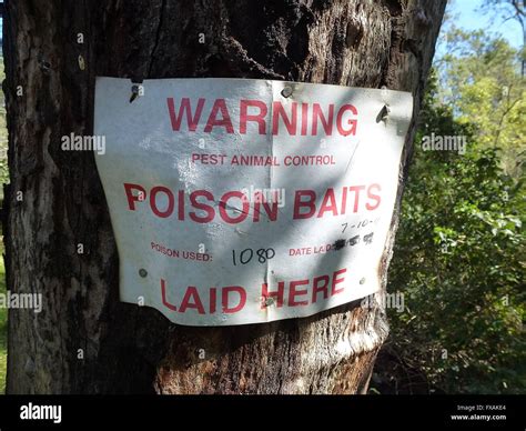 Sign warning of 1080 poison baiting for wild dogs pest animals nailed to tree Stock Photo - Alamy