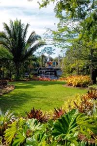 A Day At Naples Botanical Garden With Kids - KIDS FIRST TRAVEL