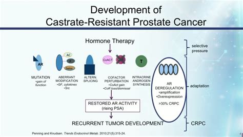 Daniel P. Petrylak, MD | Sequencing of Adjuvant Therapies