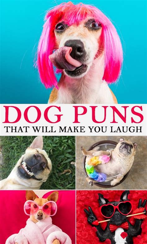 Dog Puns in 2021 | Dog puns, Puns, Laugh