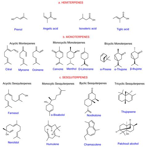 Terpene Structure