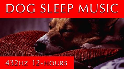 Dog Sleep Music 12 Hours [432 Hz Soothing Relaxation] - YouTube