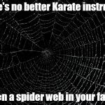 Spider Web Meme Generator - Imgflip