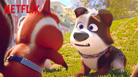 Squirrel Scuffle at the Dog Park | Dog Gone Trouble | Netflix After ...