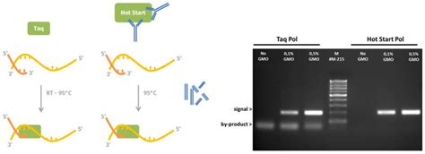 Hot Start Technology – avoid unspecific PCR products! - News Blog - Jena Bioscience