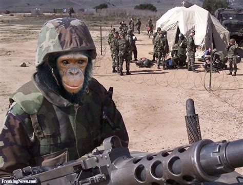 Planet of the apes, Monkey face, Military hat