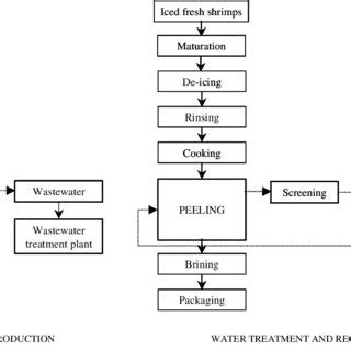 Flow diagram of the shrimp production process before and after... | Download Scientific Diagram