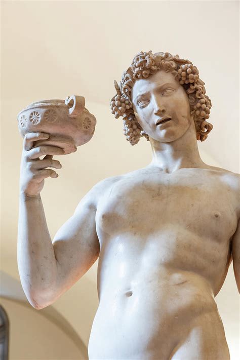 Bacchus by Michelangelo Buonarroti Photograph by Paolo Modena - Fine Art America