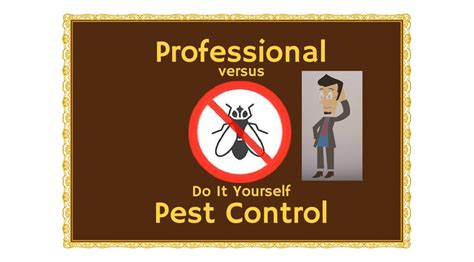 Efficient DIY Pest Control Products in Dubai, Abu Dhabi, UAE - Pest Care UAE