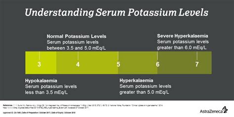 Donación Esperar Evaluable serum potassium level Tranquilidad de espíritu inventar tambor