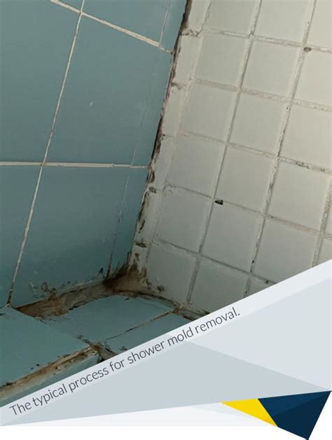 Shower Mold Removal | FDP Mold Remediation