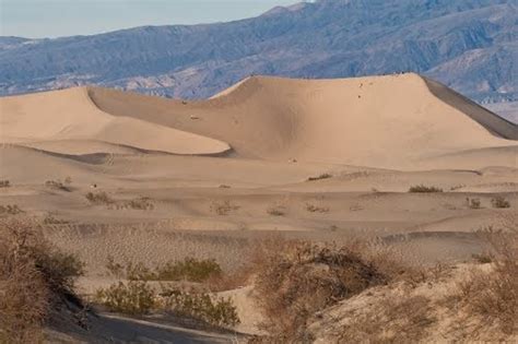 Great Sand Dunes Oasis - Mosca , CO - RV Parks - RVPoints.com