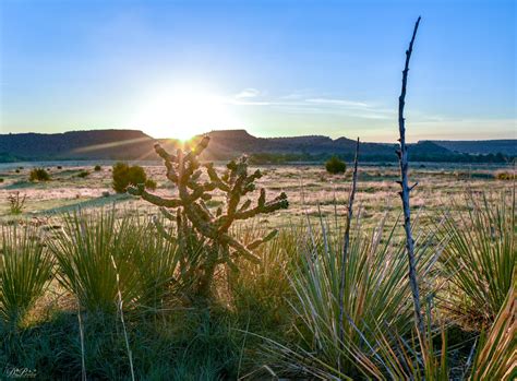 Black Mesa State Park Nature Preserve, an Oklahoma State Park