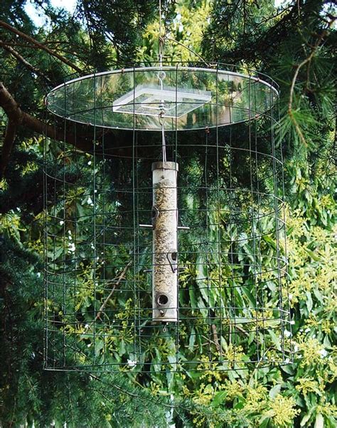 Dove Proof Bird Feeders | AdinaPorter