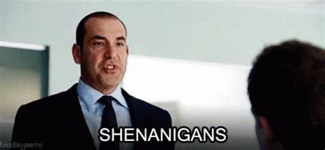 Suits GIF - Suits Shenanigans - Discover & Share GIFs