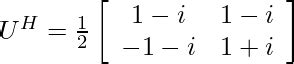 Unitary Matrix - Definition, Properties, Examples, and FAQs