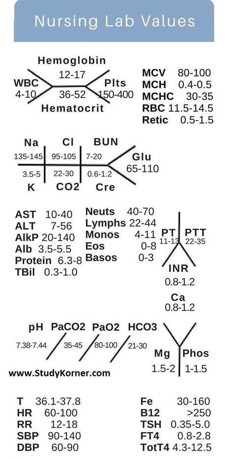 39 fishbone diagram medical labs - Diagram Online Source