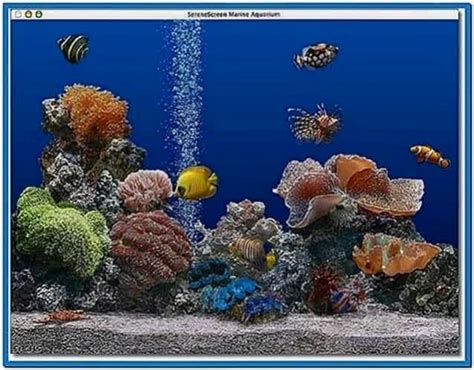 Marine Fish Screensaver Mac - Download-Screensavers.biz