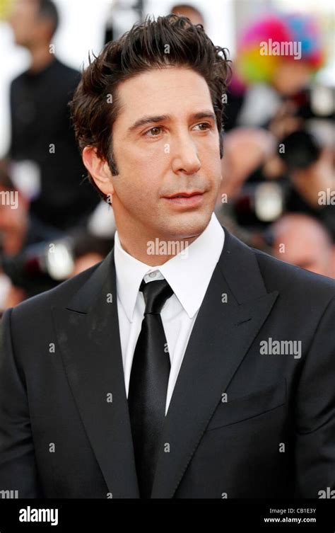 Schwimmer madagascar hi-res stock photography and images - Alamy