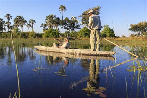 Okavango Delta, Botswana: The Complete Guide