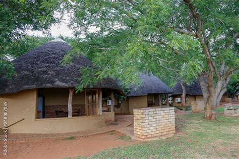 Kruger National park in South Africa safari lodge Stock Photo | Adobe Stock