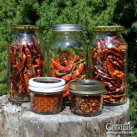 3 Ways to Dry Peppers for Food Storage