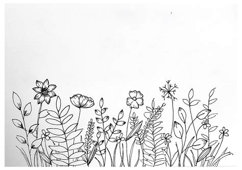Wildflower Pen Drawing #pen #flower #drawing #simple #penflowerdrawingsimple | Nhật ký nghệ ...