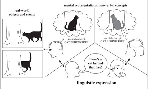 Animal cognition and the evolution of human language: why we cannot ...