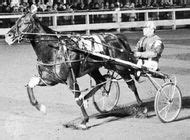 Narragansett pacer | horse | Britannica.com