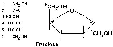 Starch syrup plant: Isomerization of glucose to fructose in fructose syrup production plant