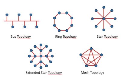 Physical Topology Types